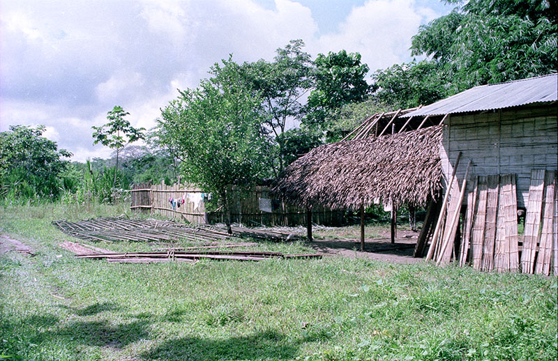 Sieco_pai roofs
